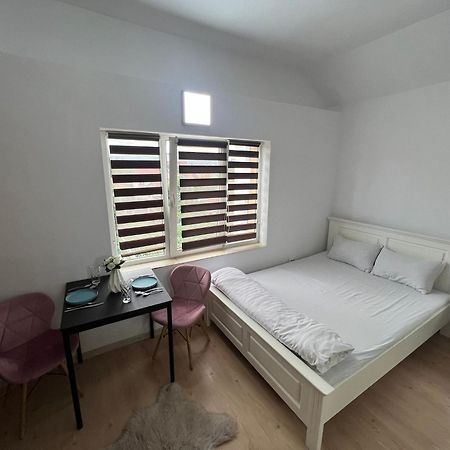 Compact House Apartment Клуж-Напока Екстериор снимка